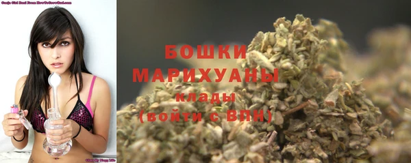 индика Нефтегорск