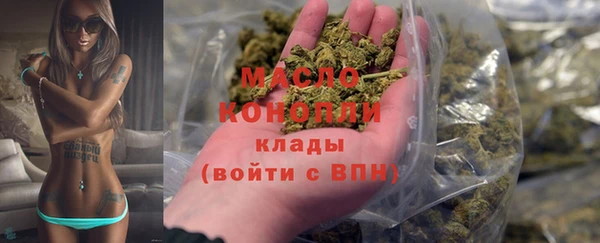 индика Нефтегорск