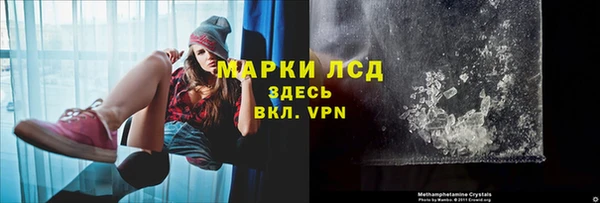 индика Нефтегорск