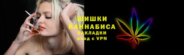 индика Нефтегорск