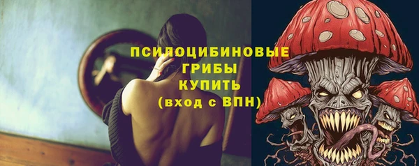индика Нефтегорск