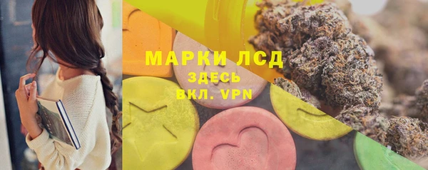 индика Нефтегорск