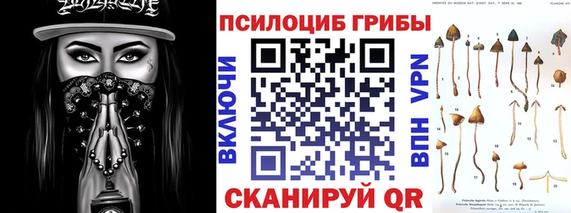 Галлюциногенные грибы Cubensis Александровск-Сахалинский
