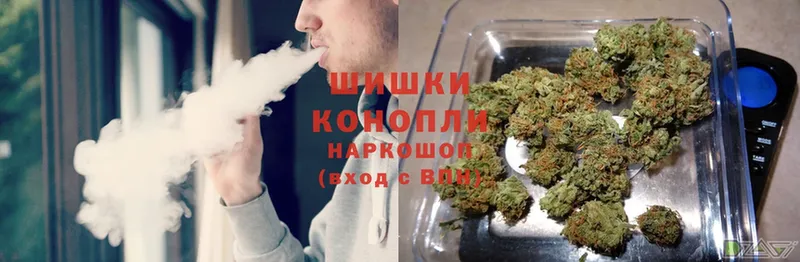 Бошки Шишки THC 21%  где можно купить   Александровск-Сахалинский 